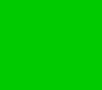 Green~Silver buckle